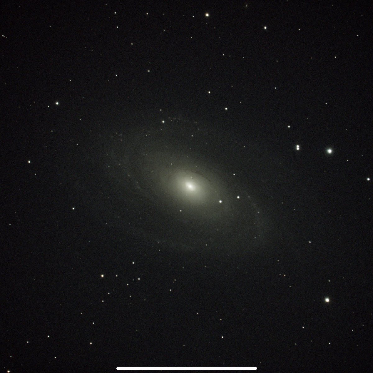MathCancer's tweet photo. Now that’s what I call a 10 minute exposure! #Messier81 #Astrophotography https://t.co/mnFzLcpG36