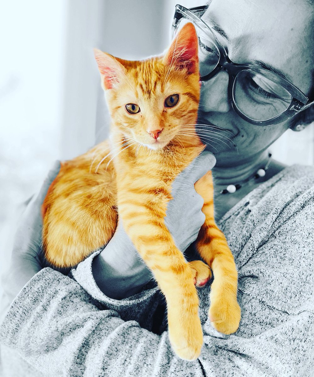 Seu Hélio ❤️
<a href="/Ms_GTeixeira/">Ms. Teixeira</a> <a href="/davidiwantadog/">Andi Wilkie</a>