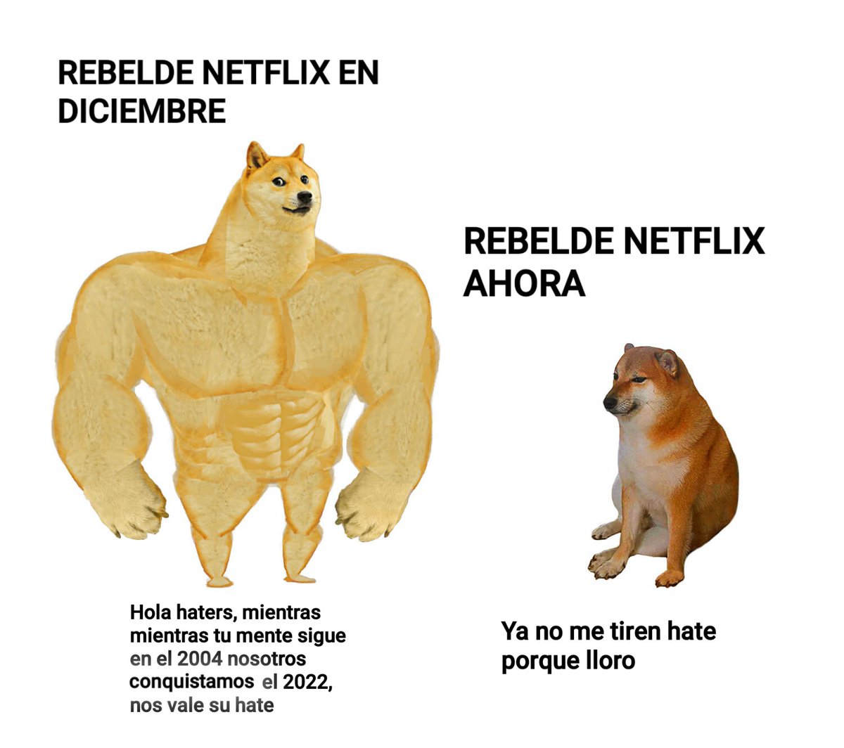anonymus_rbd's tweet photo. Se creían de la v3rga, pero al final no aguantan nada 🥸 https://t.co/XNtdBtDYlb