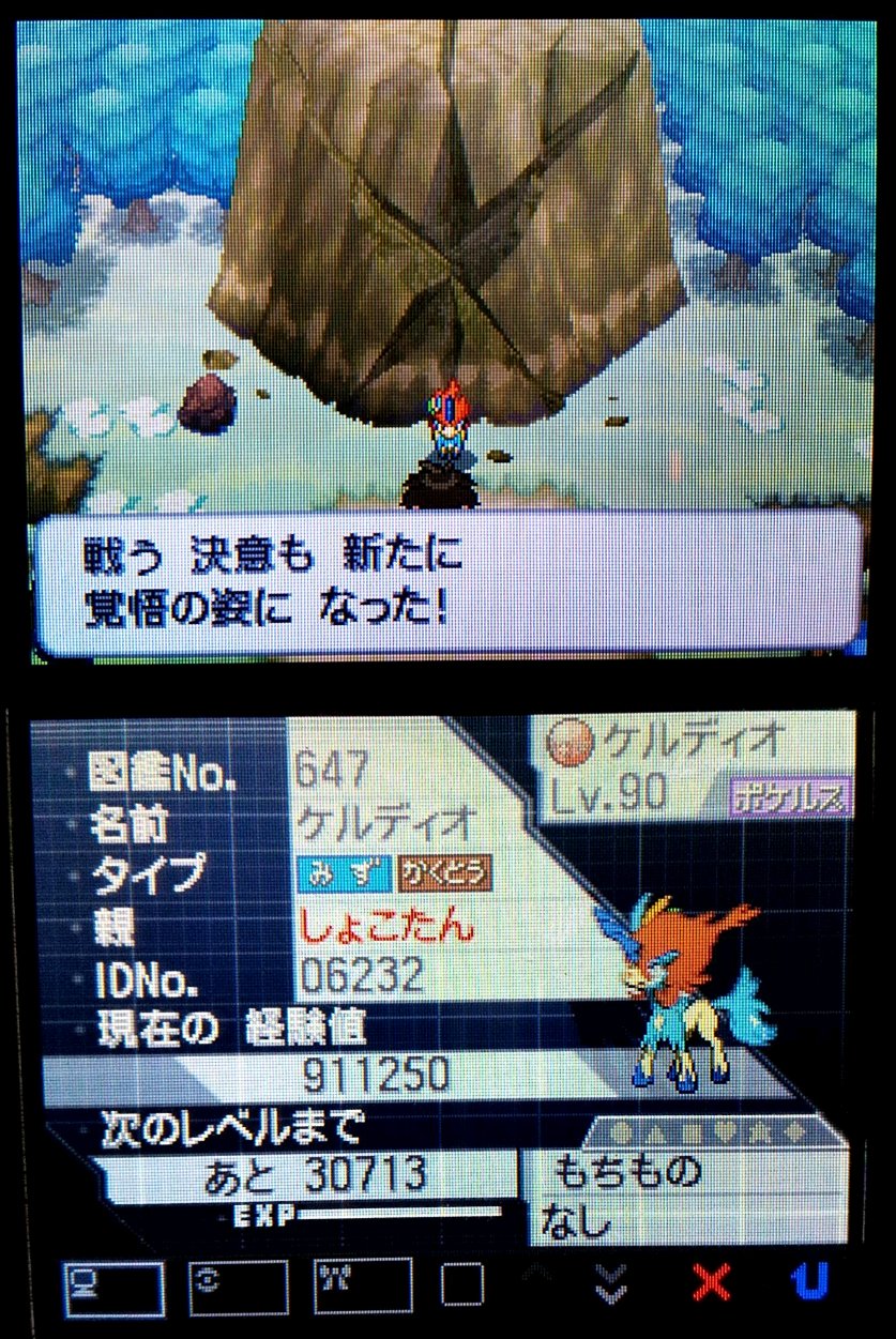 シロガネやまの住民 ブラック２ 誓いの林 ケルディオイベント T Co 3x2ndpd2je Twitter