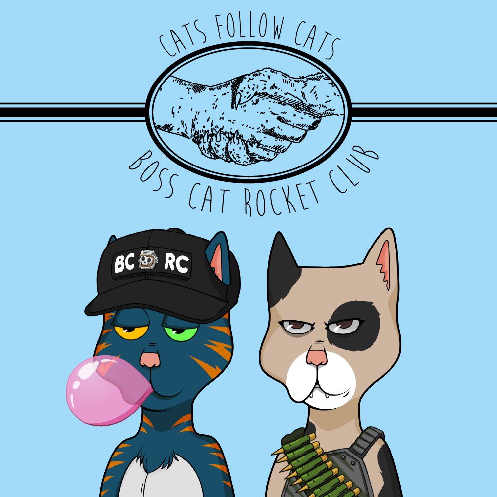 BossCatRC's tweet image. Everyone!  No cats should have less than 1000 followers.  No tweet should have zero likes, RT or comments.  Today, we start a movement #catsfollowcats let’s make BCRC the best community in all NFT. LFG  #BCRC