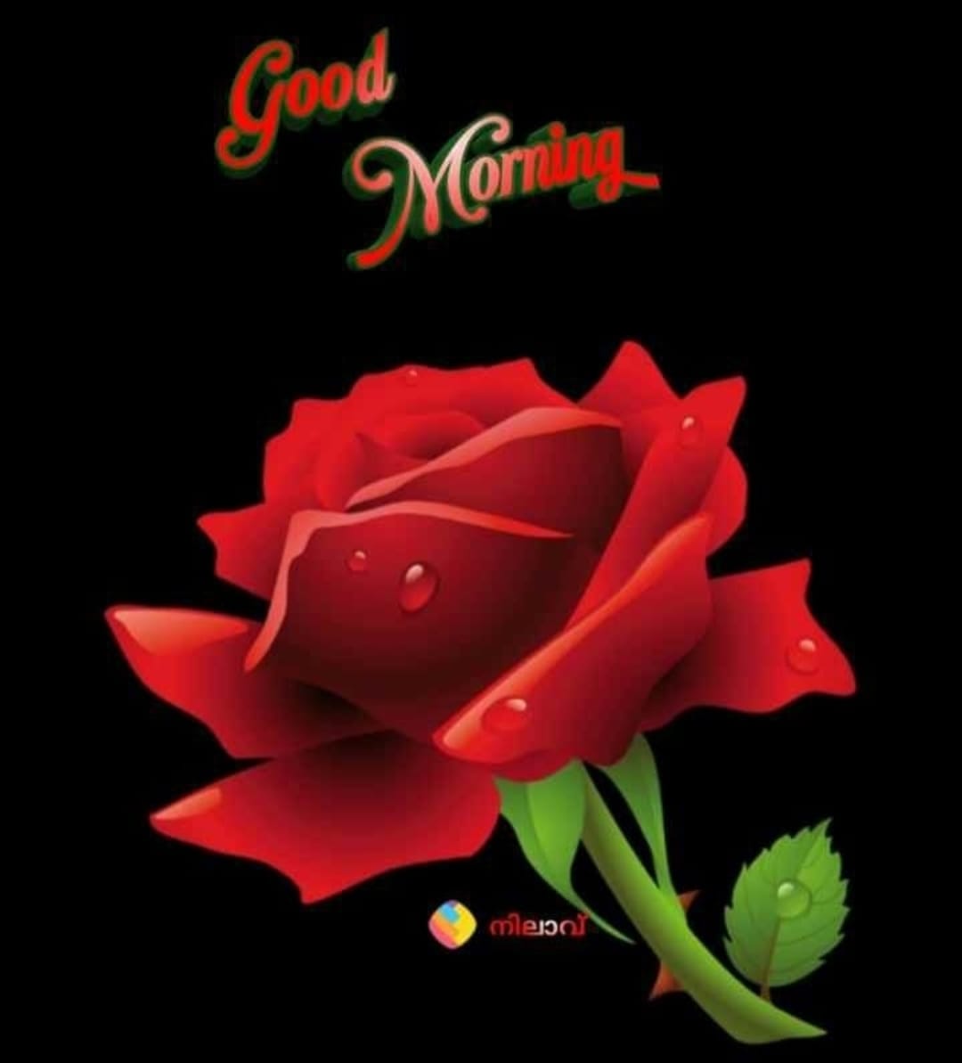 Be aware of ego it's a double edge sword...the outer edge cuts your popularity. While the inner edge cuts your purity.
               🌸Good Morning🌸
                   🇮🇳Jai Hind🇮🇳