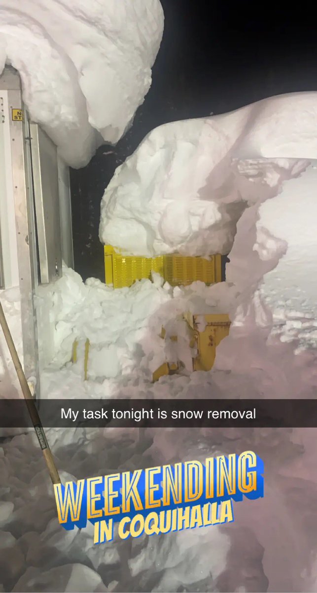 I feel like a Canadian Hector Zeroni