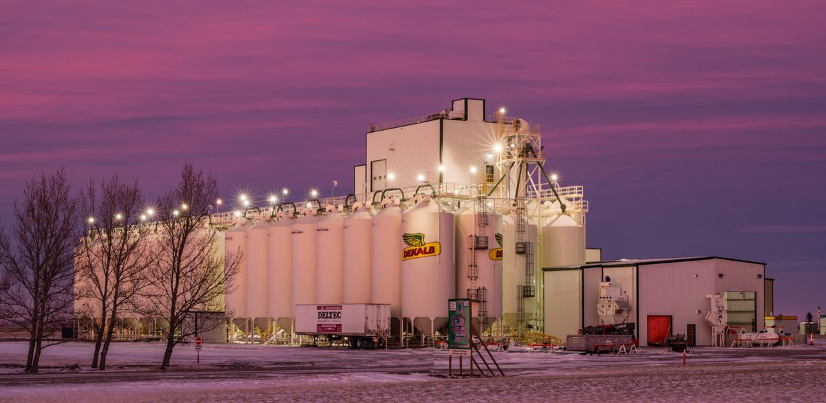 Beauty of a sunset.  <a href="/Bayer4CropsCA/">Crop Science Canada</a> canola plant in Lethbridge.  <a href="/aggiecoolchick/">Trish Jordan</a> <a href="/senatrstanford/">Gary Stanford</a> <a href="/AlbertaCanola/">Alberta Canola</a> <a href="/canolacouncil/">Canola Council of Canada</a> @AgMoreThanEver