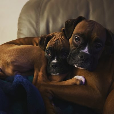 akkb25's tweet photo. #NewProfilePic https://t.co/oogJ5Qu8wT