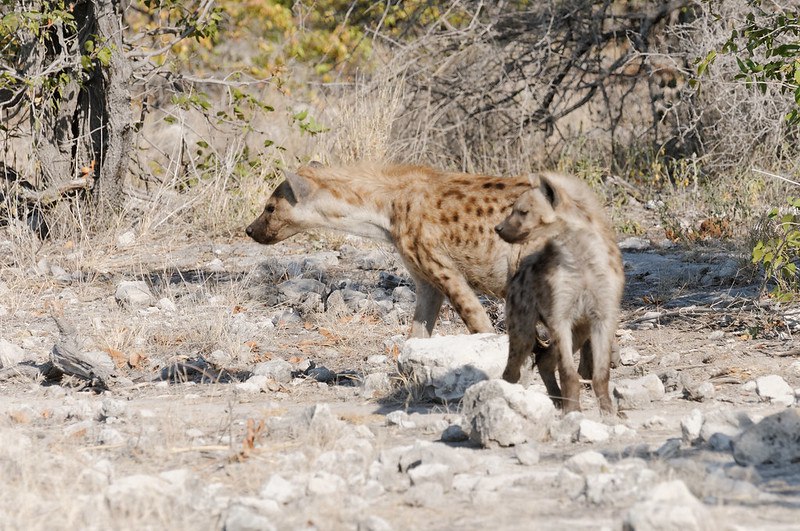 HourlyYeen's tweet photo. https://t.co/0bu9vCnJIM