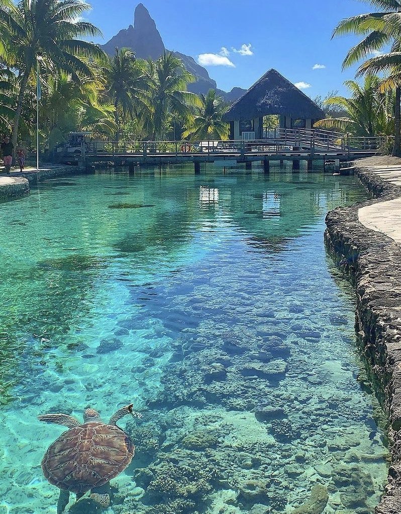 สงบสดใส