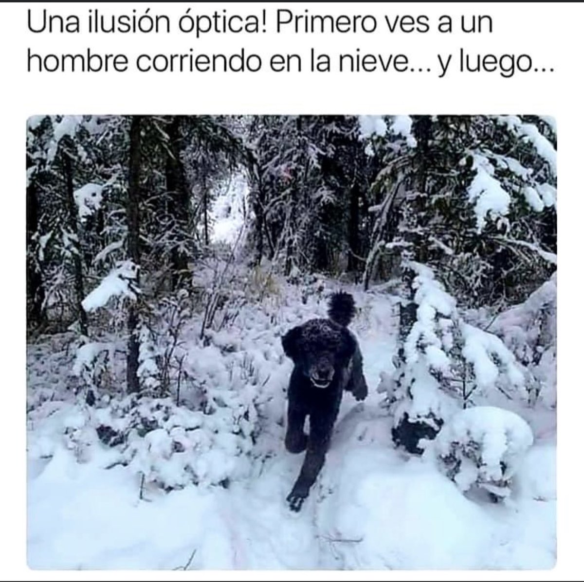 mariaaarbelaez's tweet image. 😳