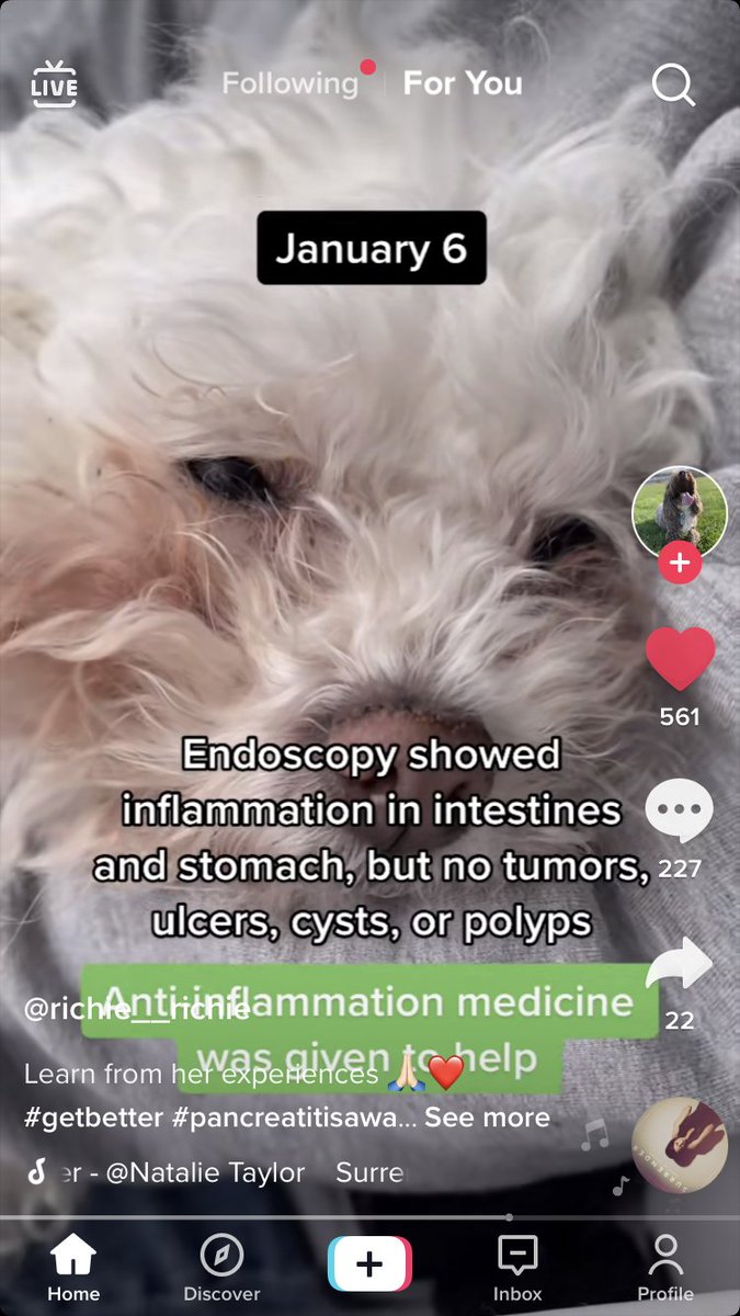 vm.tiktok.com/TTPdM9wTo8/