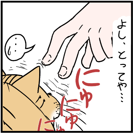 猫はたまに珍妙な動きをする・・・w
 #ニャンコ #まんが #猫 #猫あるある #猫漫画 #ペット #飼い主 #エッセイ漫画 #キャット #ねこのいる生活 #4コマ 