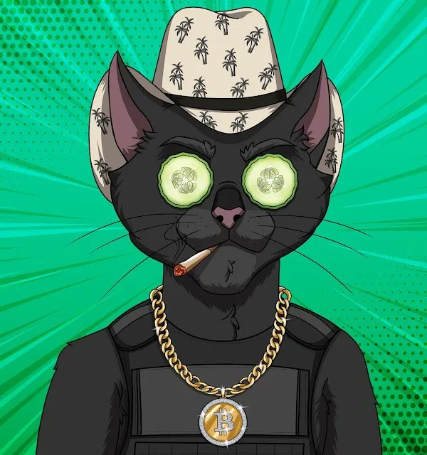 We are just a few cats away from a 1 ETH floor price! 🙌

This has been an amazing journey since launch and the #OGCATS community members are all growing together and ready for the next level!!! 🆙

Let's flooring go!!! 🚀

#NFT #NFTs #NFTCommunity #NFTgame #NFTdrop #NFTcollector