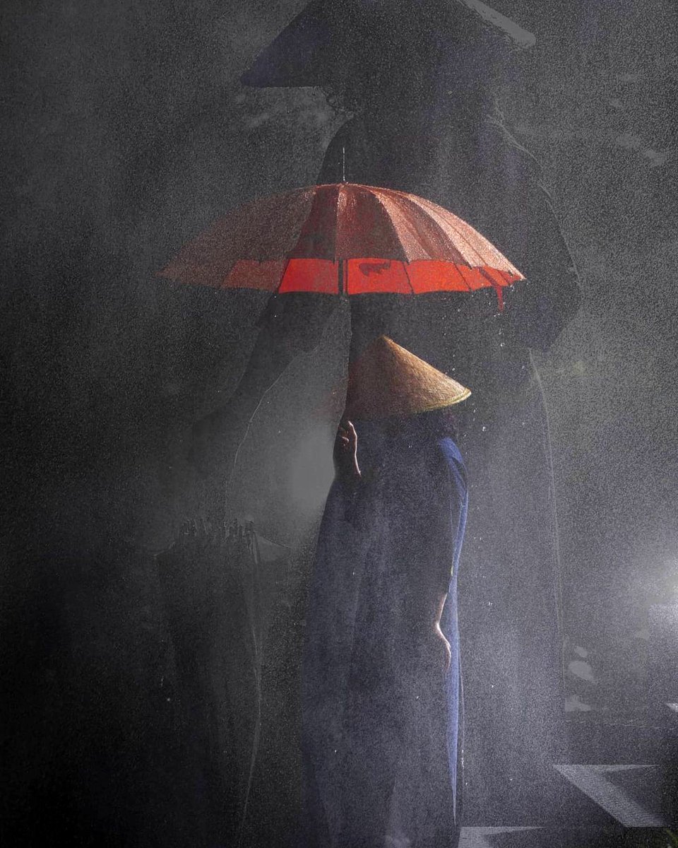 IoriTosa2's tweet photo. 📷 © moohyul 무휼

South Korea　韓国 

#photography #rain 
. https://t.co/cCCdrtN8o8