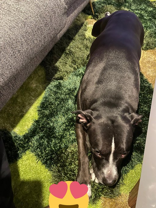 someone is hoping i spill fried rice https://t.co/zpCYg2bo2p