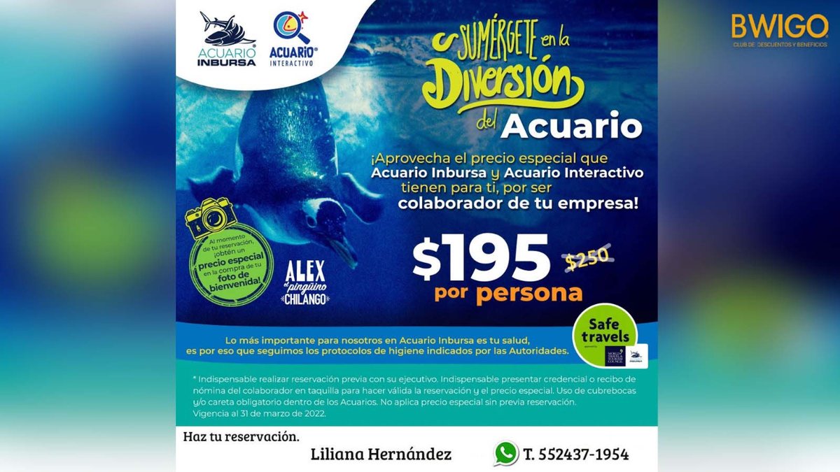 Epic_Club_'s tweet photo. ¡Aprovecha el precio especial que @AcuarioInbursa  y #AcuarioInteractivo tienen para ti por ser parte de @Bwigo  ! Haz tu reservación con Liliana Hernández y sumérgete en la diversión 🐟🐠🐧 !
#Bwigo #AcuarioInbursa #Descuento #México
*Ver T y C https://t.co/DH4A8dbiih