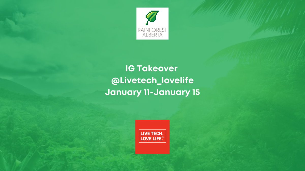 RainforestAB's tweet image. Join us on Instagram as we takeover the @ livetech_lovelife account on January 11-15 to share more about #RainforestAB! 

#techyyc #innovation
