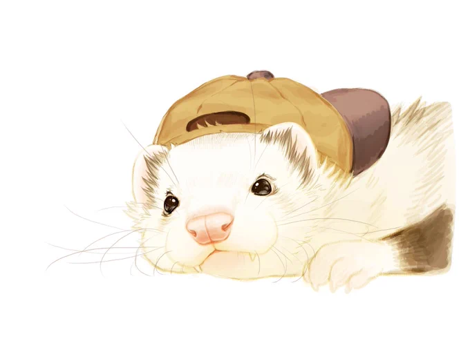 むっちぃ🐹🍗💛 