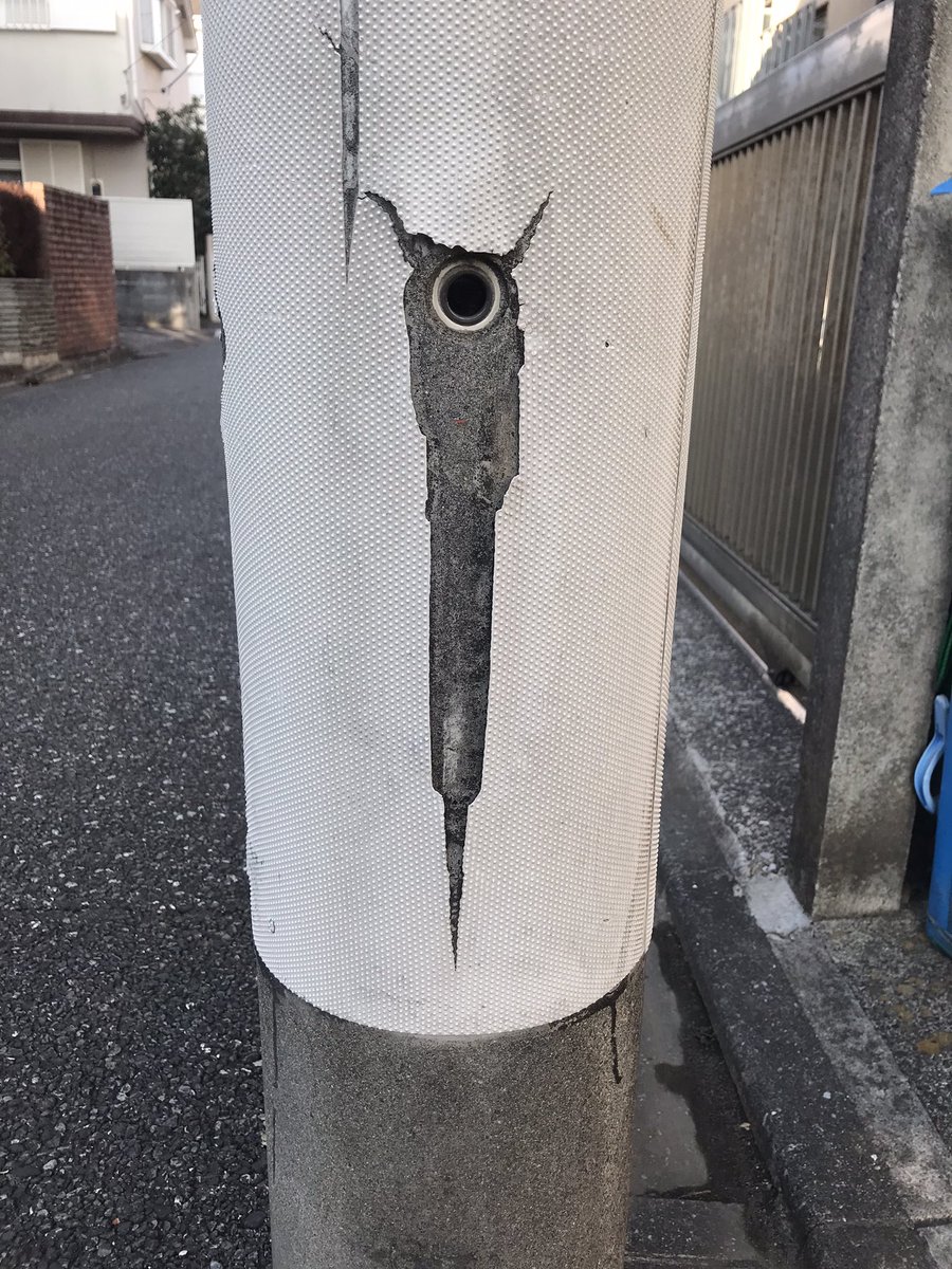 sanotsukiya's tweet photo. 悪さしそうなやつを2匹も捕獲した https://t.co/aQP9QL0l1I