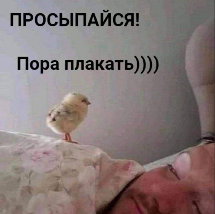 in_springgg's tweet photo. оу ноу
учебная неделя
оу ноууууу https://t.co/6RvS1RaLyL