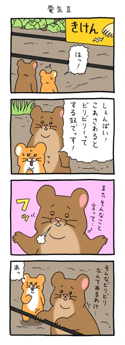 8コマ漫画スキネズミ「電気Ⅱ」https://t.co/1Co95CbILX

#スキネズミ #しぇんぱい  #キューライス 