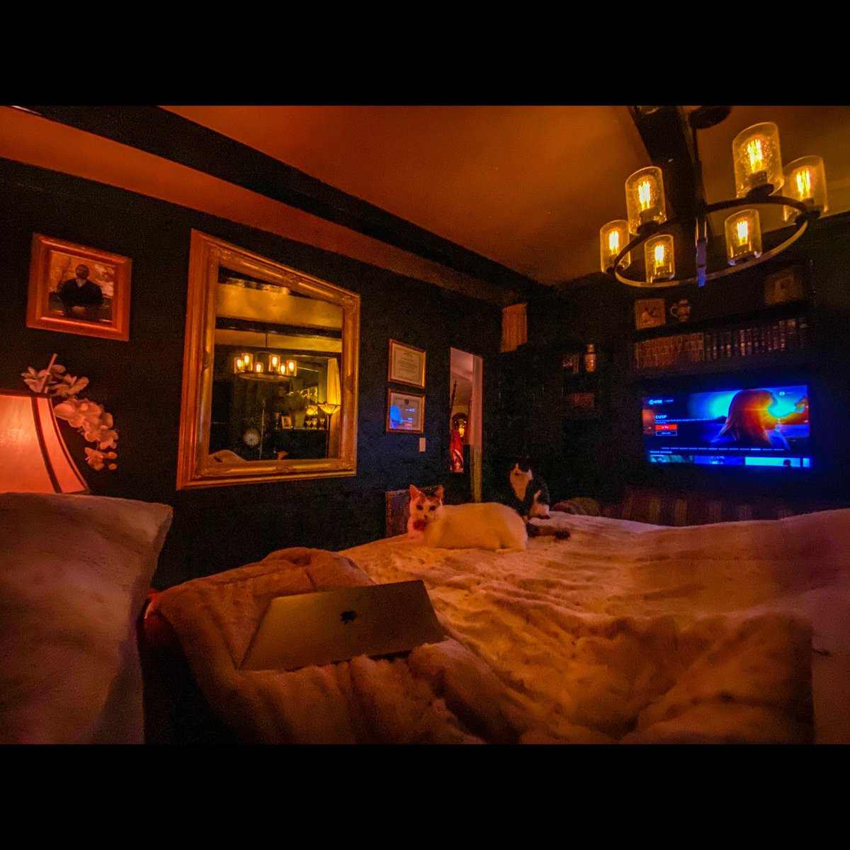 ccw991's tweet photo. Oh and I managed to finish my entire front room &amp; Master… 

One Word - Pharmaceutical 😂🤣 https://t.co/28Clsqc8Z9