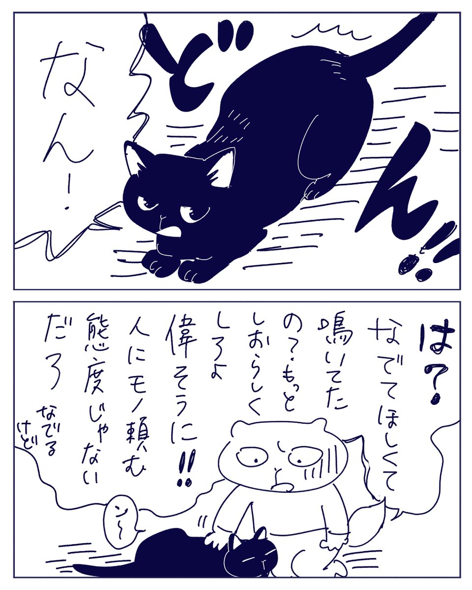 ②よくしゃべる猫

ブログには猫ちゃんたちの写真を載せました
https://t.co/NkzS0wcczs 