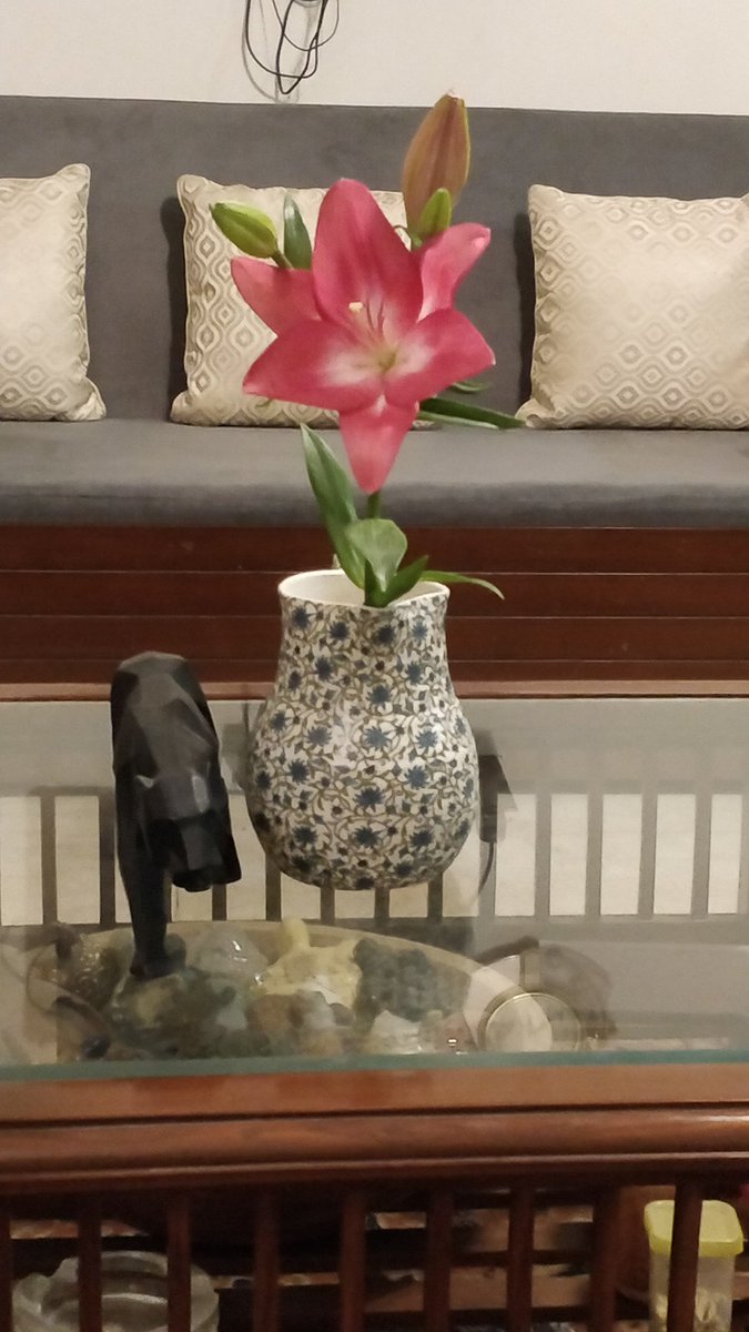 Shalini Narayanan tweet media