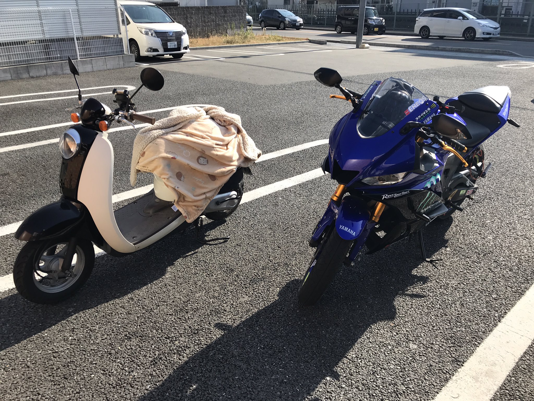 ☆みんとん☆ Amazon｜仏壇屋 滝田商店 盆提灯 ミニ 盆ちょうちん LED