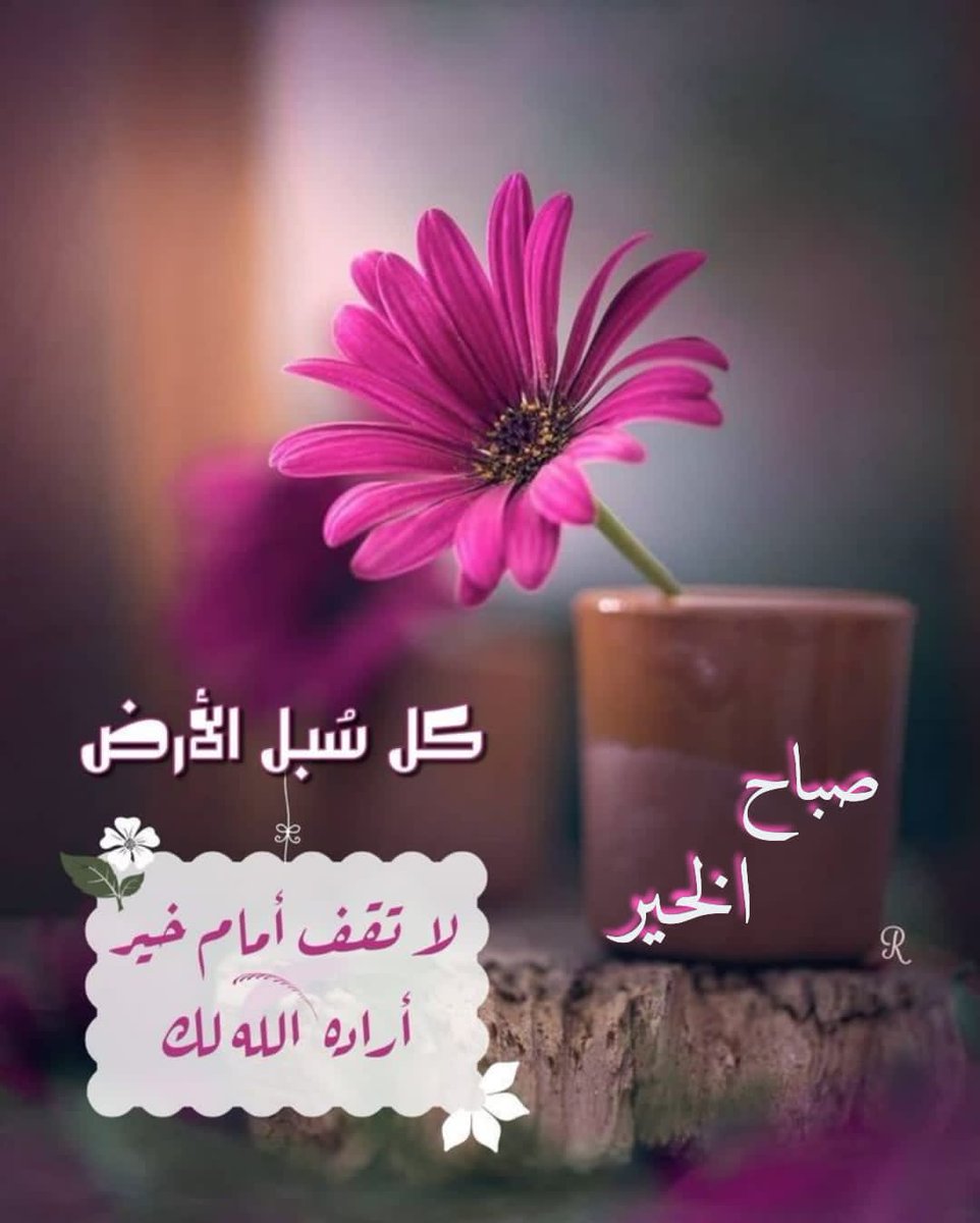 #صباح_الخير 
"قد تحمل "مرحبا"
كل الحب في هذا العالم
وقد تكون " أنا أُحِبُّكَ"
فارغة من كل شيء
نحن بحاجة دائمة لشعور الأشخاص
لا لكلامهم؟
ربما لم تكن مرحبا عادية

بل مُرَّ حُبًّا ! *"

صباحُ الخير 🍃🌻