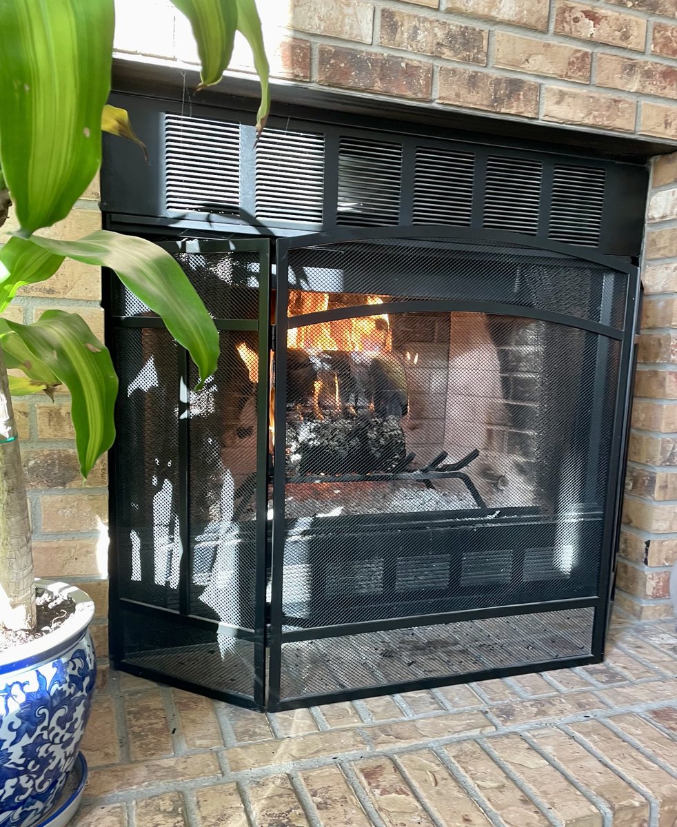 SLSever's tweet image. It is frigid outdoors today.   Cozying  up to the fire!