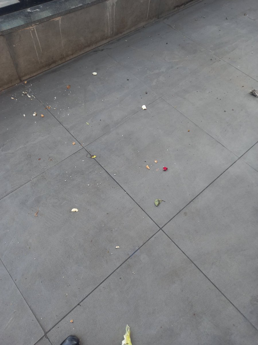 ars1211's tweet photo. @McDonalds inspite frequent request and assurance from authority , still same repeatation.Waste observed on footpath at 9 AM . https://t.co/tXMgX2Crvy