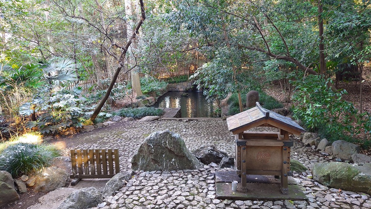 gosyuintaro's tweet photo. 武蔵国一之宮・氷川神社です。さすが氷川神社総本社、お宮に近づくと露店も増えて日本一長いと言われる参道も苦になりません。派手な楼門に比べて拝殿はシンプルな入母屋造り、境内外れにある蛇の池は氷川神社発祥の地だそうです。 #氷川神社 #御朱印 #一之宮 https://t.co/7jzFfzlm1C