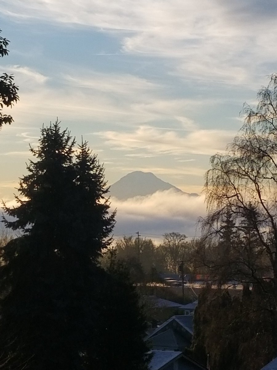 Mountain popped out this morning.🗻 My view from #bremerton today #pnw <a href="/DiscoverthePNW/">Discover the PNW</a>