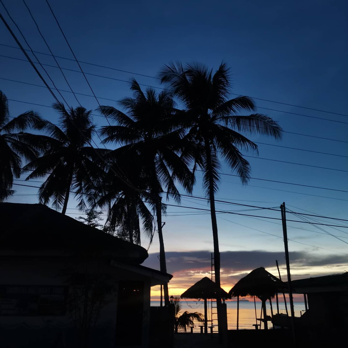 anndeefayn's tweet photo. Simple joys 🧡 https://t.co/Amk8BcVUJl