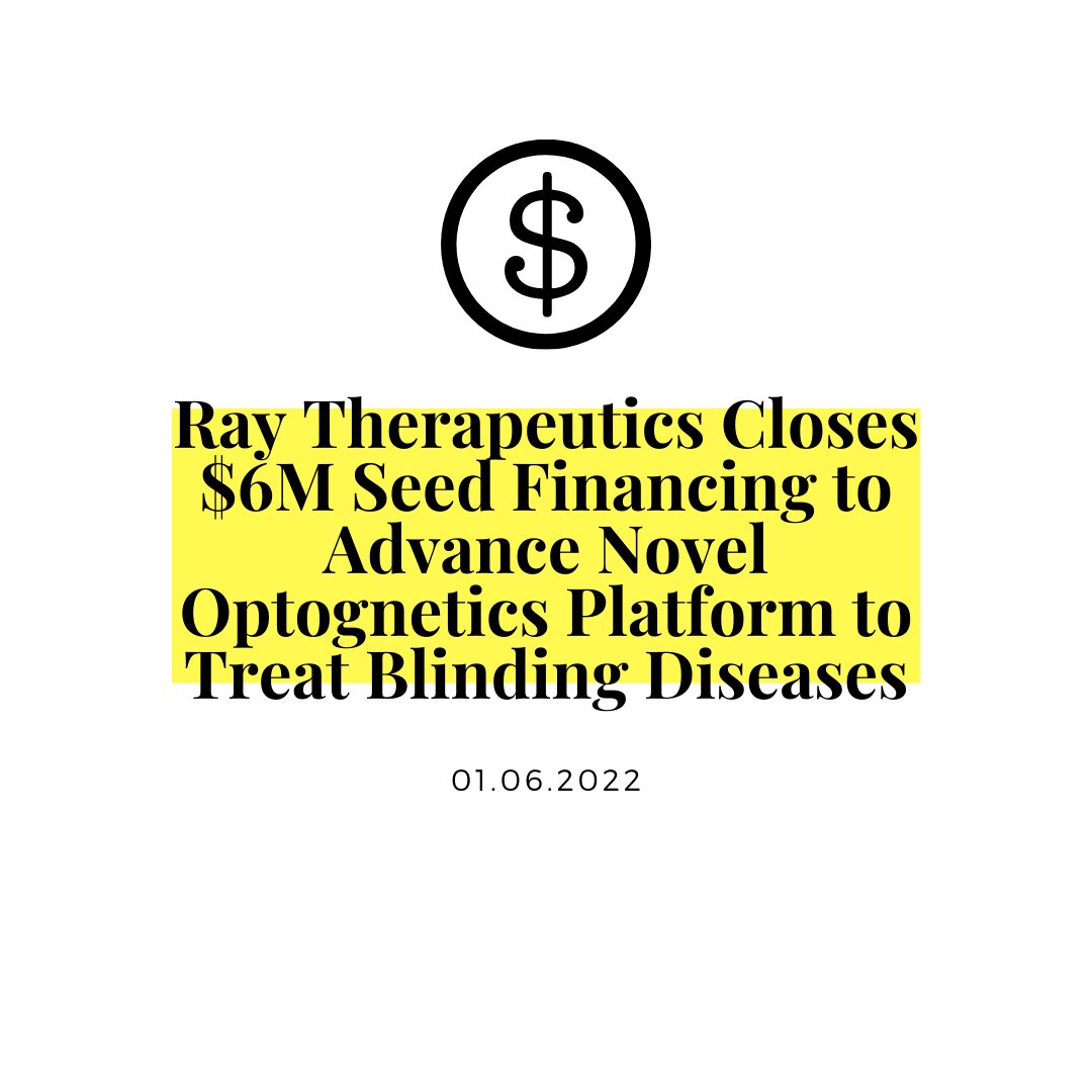 eyewireplus's tweet photo. Did you miss #Eyewire's headlines of the week? Catch up on these news items and more at https://t.co/OjA6Xm1oR6. https://t.co/367KbcUICP