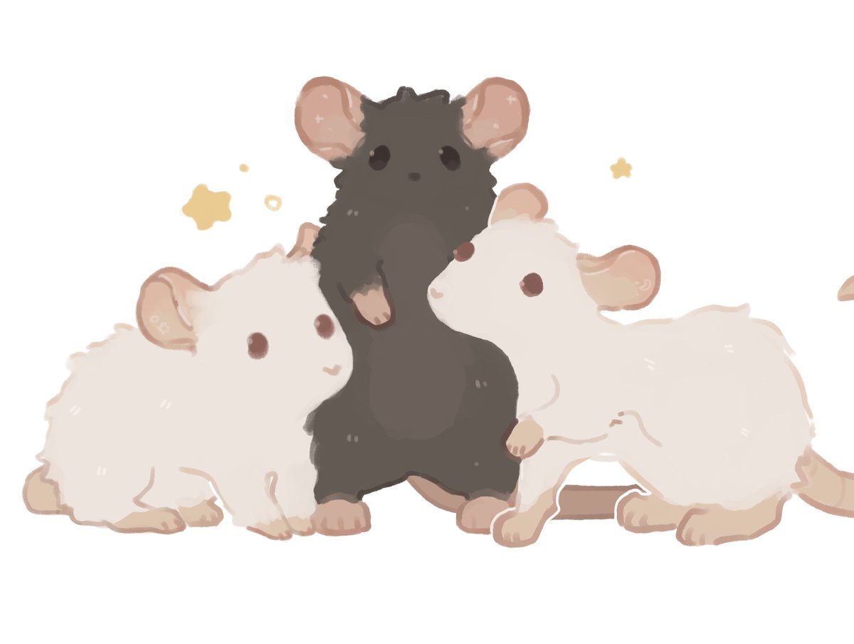 coffylamb's tweet photo. request 🐀 ✧˚ https://t.co/eoRWtPCM08
