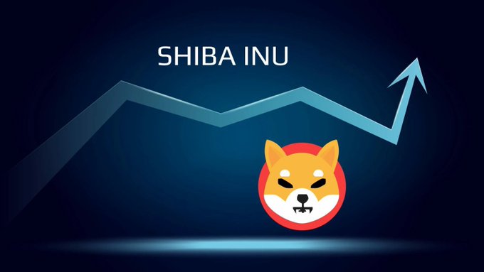 TonyBitcoinbbb's tweet image. The Top 100 #Ethereum Whales Still Prefer Buying #SHIB 🚀🚀🚀