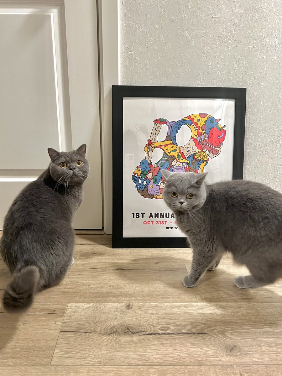 veratheape's tweet photo. Cats approved! 🥳 

#BAYC @BoredApeYC https://t.co/aMtzRbrlKL