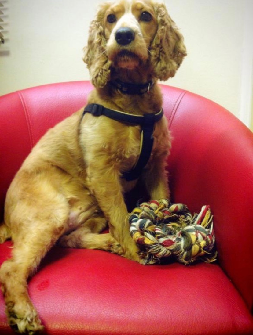 İtoş olmak poz verebilmeyi gerektirir. Stüdyoya fotoğraf çektirenlerden neyim eksik?