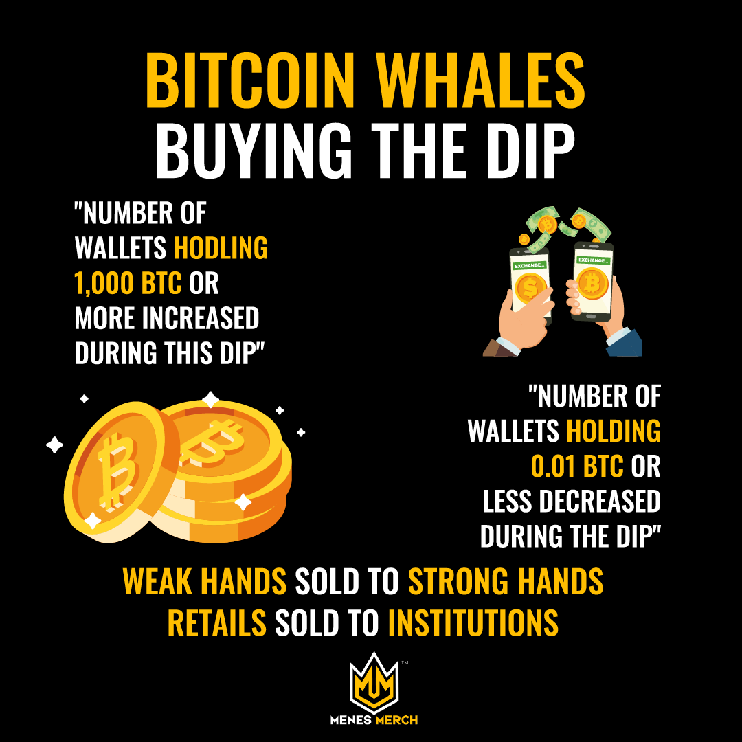 MenesMerch's tweet image. Bitcoin whales buying the dip.

More: linktr.ee/menesmerch

#BTC #ETH #LTC #XRP #XMR #KNC #BCH #IOTA #NFTart #NFTcommunity #NFTnetwork #Solana #Crypto #CryptoArt #DigitalArt #Cardano #Ethereum