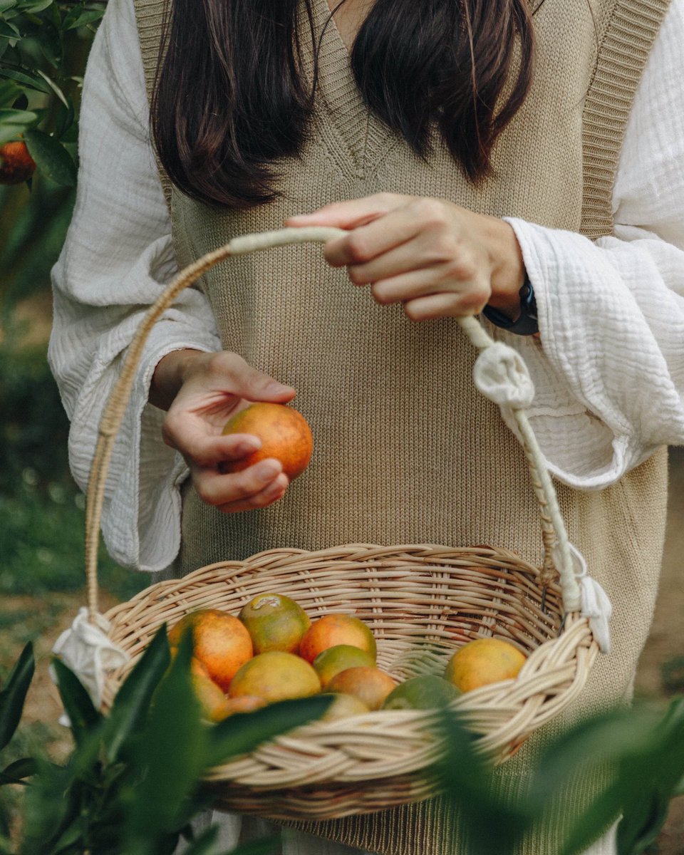 petchpechon's tweet photo. JINJU The Orange Farm - สวนส้มจินจู ม่อนแจ่ม จ.เชียงใหม่ 🍊🏡
สวนส้มกลางภูเขา ที่ชิคที่สุด อย่างกับหลุดไปอยู่ที่เกาหลี!
นับว่าเป็นสวนส้มสุดชิคจริงๆ ทั้งบรรยากาศดี มุมถ่ายรูปเยอะ ฟิลเกาหลีมากๆเลยครับ ที่นี่อยู่ #เชียงใหม่ ไม่ต้องบินไกลถึงต่างประเทศเลยฮะ ✨
#Petchography #เพชรถ่าย https://t.co/gLhazNUz5e