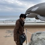 ツイートに含まれる画像
