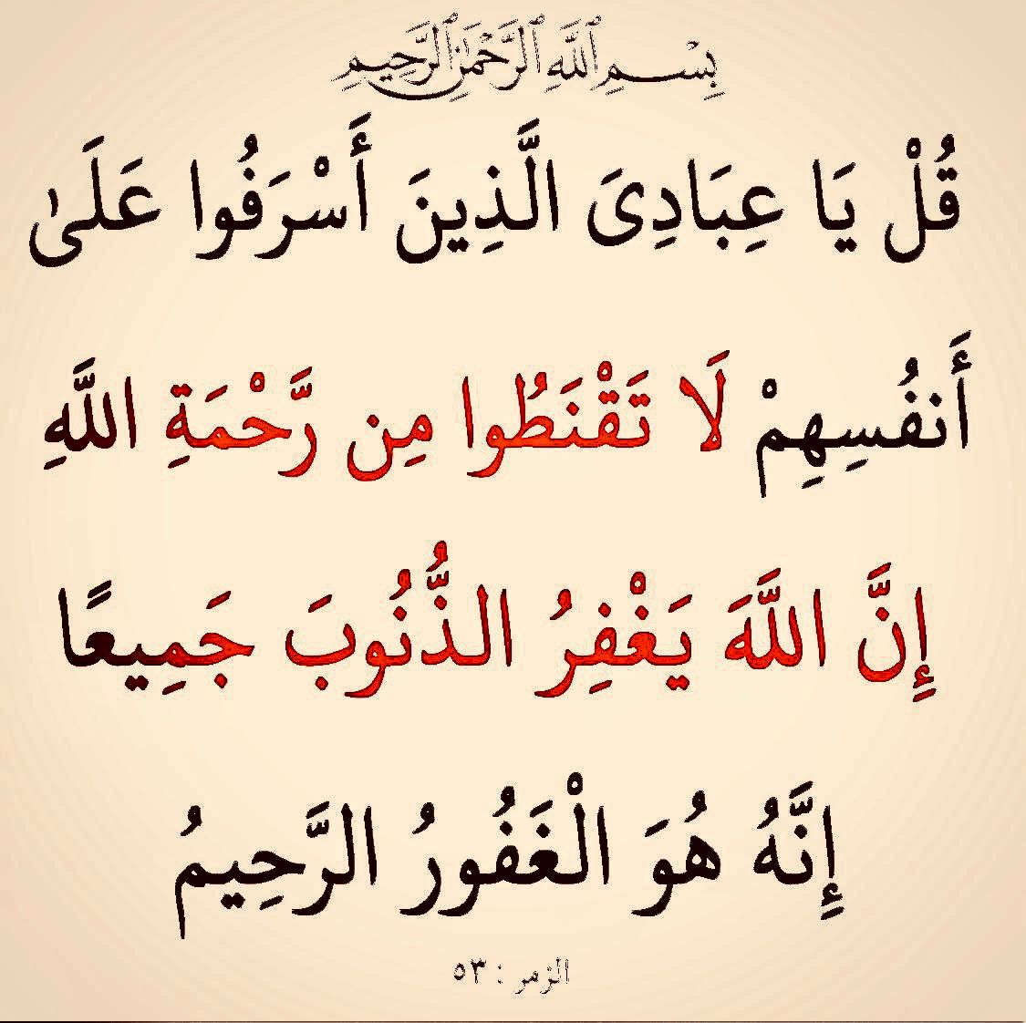 Hussam Yosri (@samoyosri) on Twitter photo 