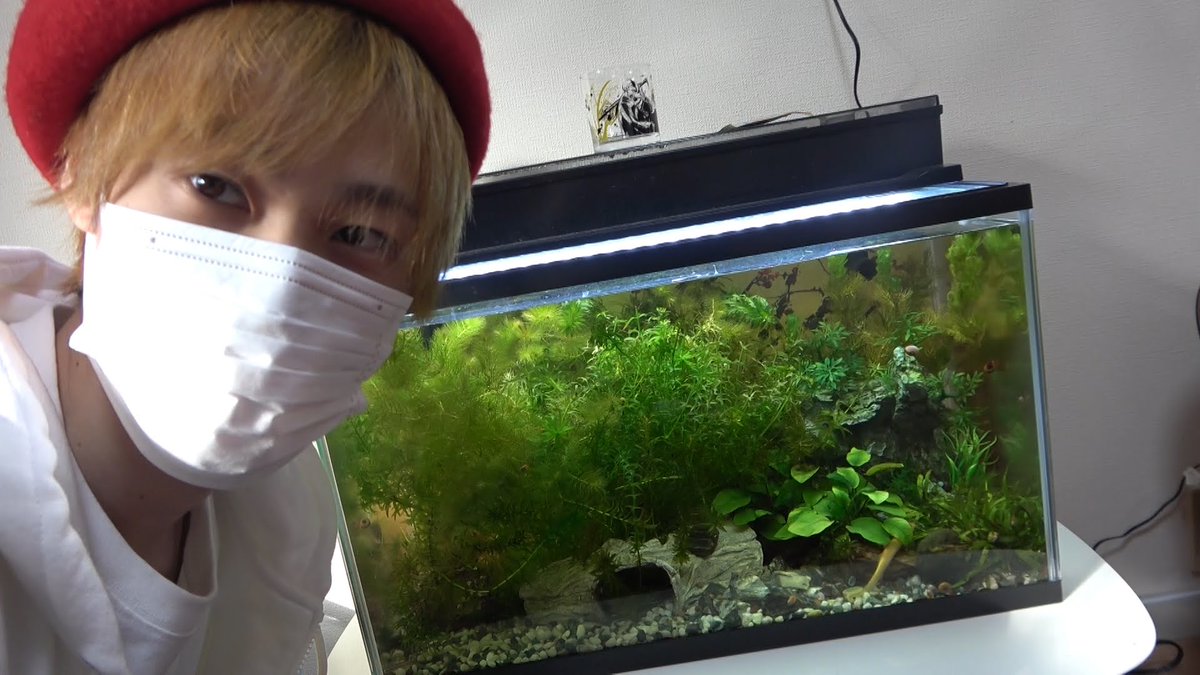 pietoro21's tweet photo. ご成人おめでとうございます。
あの日から５年経ちましたが未だにピエトロやってます。 https://t.co/V9O9vKk7eW