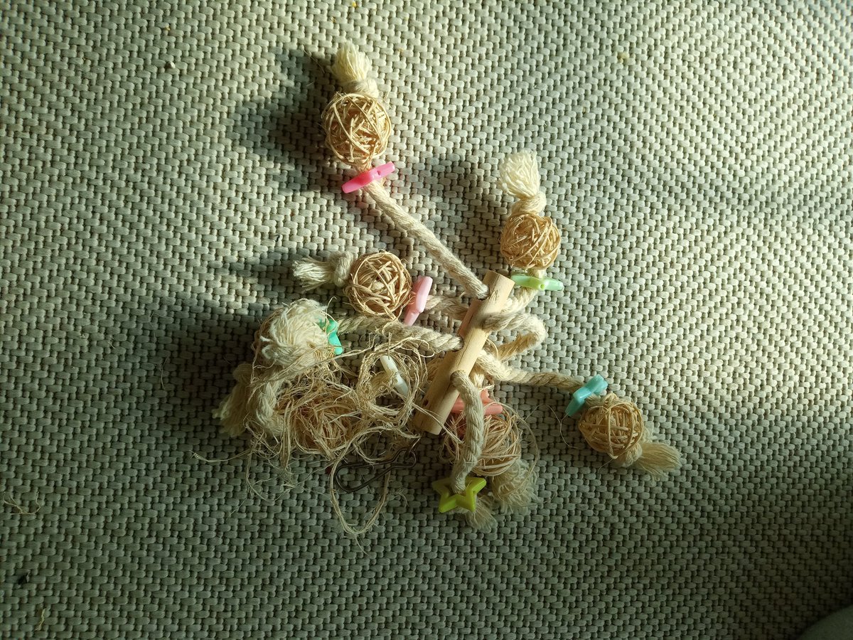 재미있게 놀았네