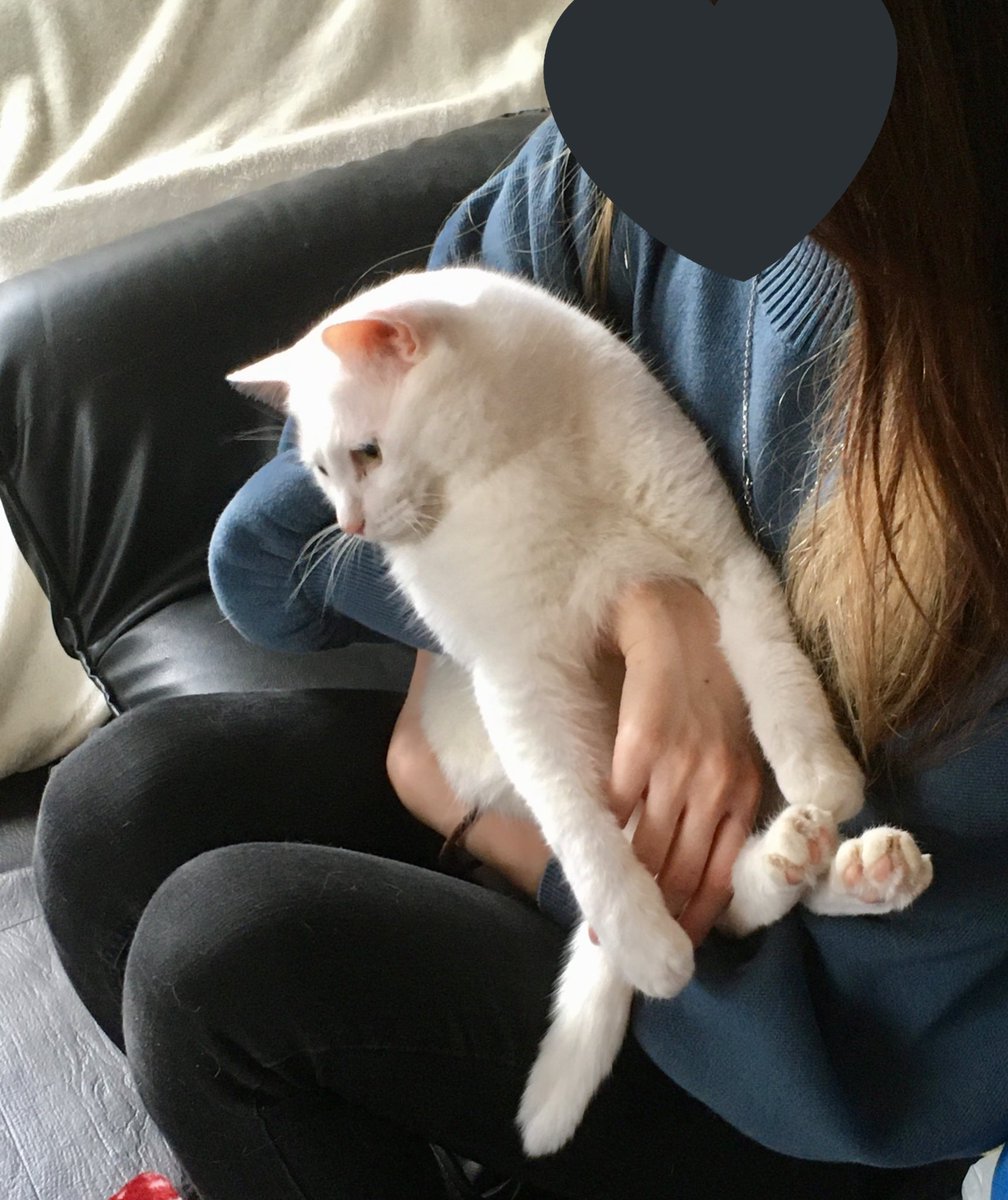 まじでデカくて重くてアザラシの赤ちゃんみたいで可愛かった 