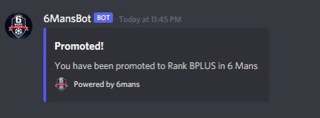 𝗲𝗰𝗵𝗼 tweet media