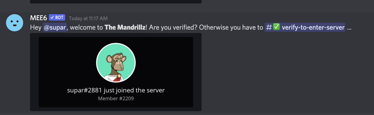 TheMandrillz's tweet image. Watch out - the @BoredApeYC are coming 👀

#ApesTogetherStrong