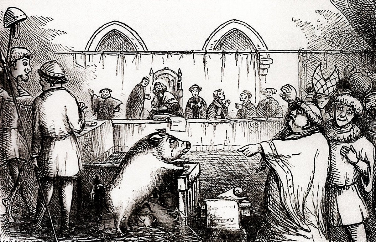 Гоголь свинья. Суды над животными в средние века. Средневековье суд над свиньей. До 18 века в Европе проводились суды над животными. Суд над животными в средневековье.