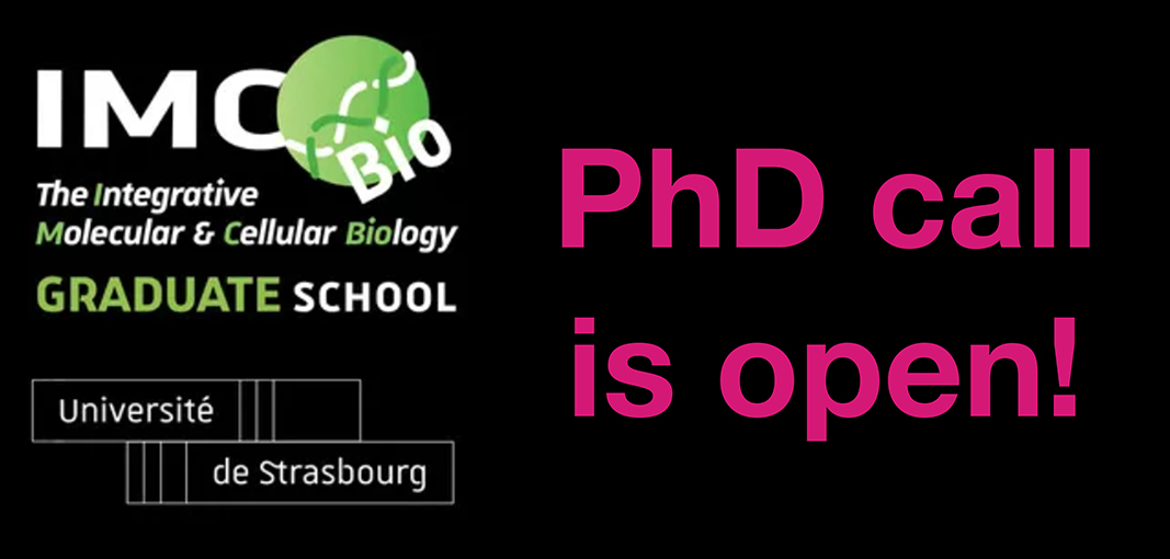 IGBMC (@igbmc) on Twitter photo For students looking for a PhD position in a fast-paced and cutting-edge environement, <a href="/IMC_Bio/">IMCBio Graduate School</a>'s Phd call is open ! This is a great opportunity to come and work with us, at IGBMC (INRT). 👩🔬
You can read more about the different projects available here : bit.ly/3zHajiU For students looking for a PhD position in a fast-paced and cutting-edge environement, <a href="/IMC_Bio/">IMCBio Graduate School</a>'s Phd call is open ! This is a great opportunity to come and work with us, at IGBMC (INRT). 👩🔬
You can read more about the different projects available here : bit.ly/3zHajiU