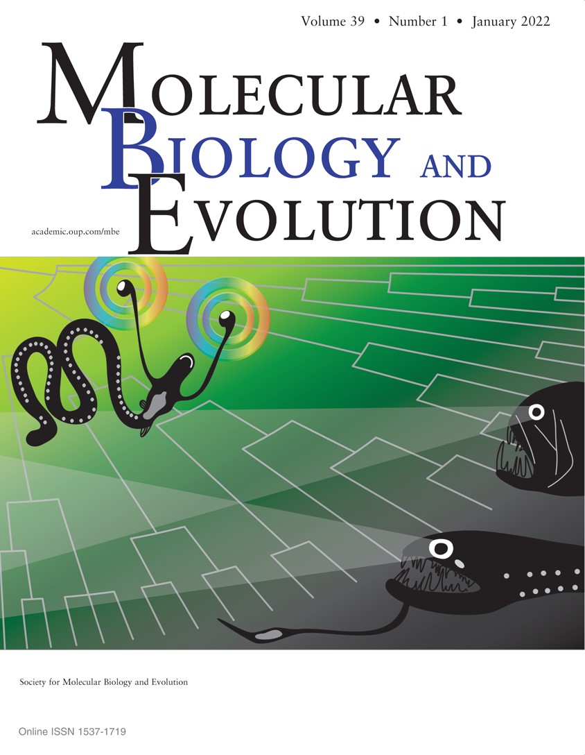 zuzmus's tweet image. This #deepsea fish cover might be slightly psychedelic:-) It refers to our recent study on vision in deep-sea fish larvae (using cones) and adults (rods). It's also the first  student paper since I started my FishEvo research group. Happy and congrats Nik!
academic.oup.com/mbe/article/38…